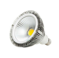 PAR38  LED COB floodlight 12W, E27 base