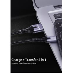 Cable USB 2.0 AM/Type-C 0.5m Backlit Gray