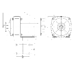 Electric motor MY1020ZXFH brushed for 36V450W tricycle