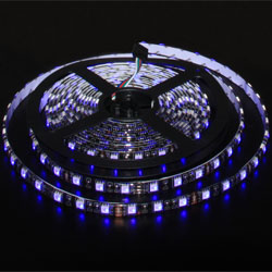 LED Strip Light  SMD 5050 (60) RGB IP65 black base