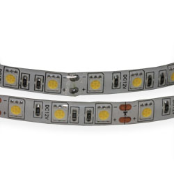 LED Strip Light  SMD 5050 (60) IP 65 White cold