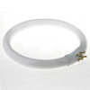 Lamp L22W/33 [ring, 220mm X 31mm]<gtran/>