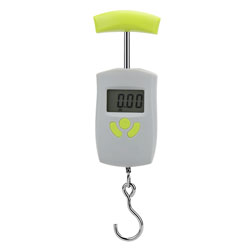 Scales-canter electronic 50kg/10g household