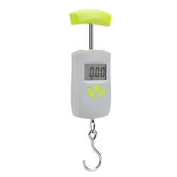 Scales-canter electronic 50kg/10g household