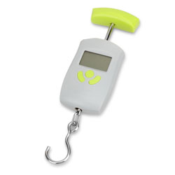 Scales-canter electronic 50kg/10g household