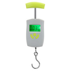 Scales-canter electronic 50kg/10g household