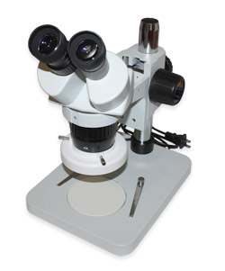 Microscope  stereo XTL-6024B1 (x40 magnification)