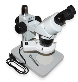 Microscope  stereo XTL-6024B1 (x40 magnification)